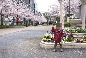 100404_04285_公園_桜.gif